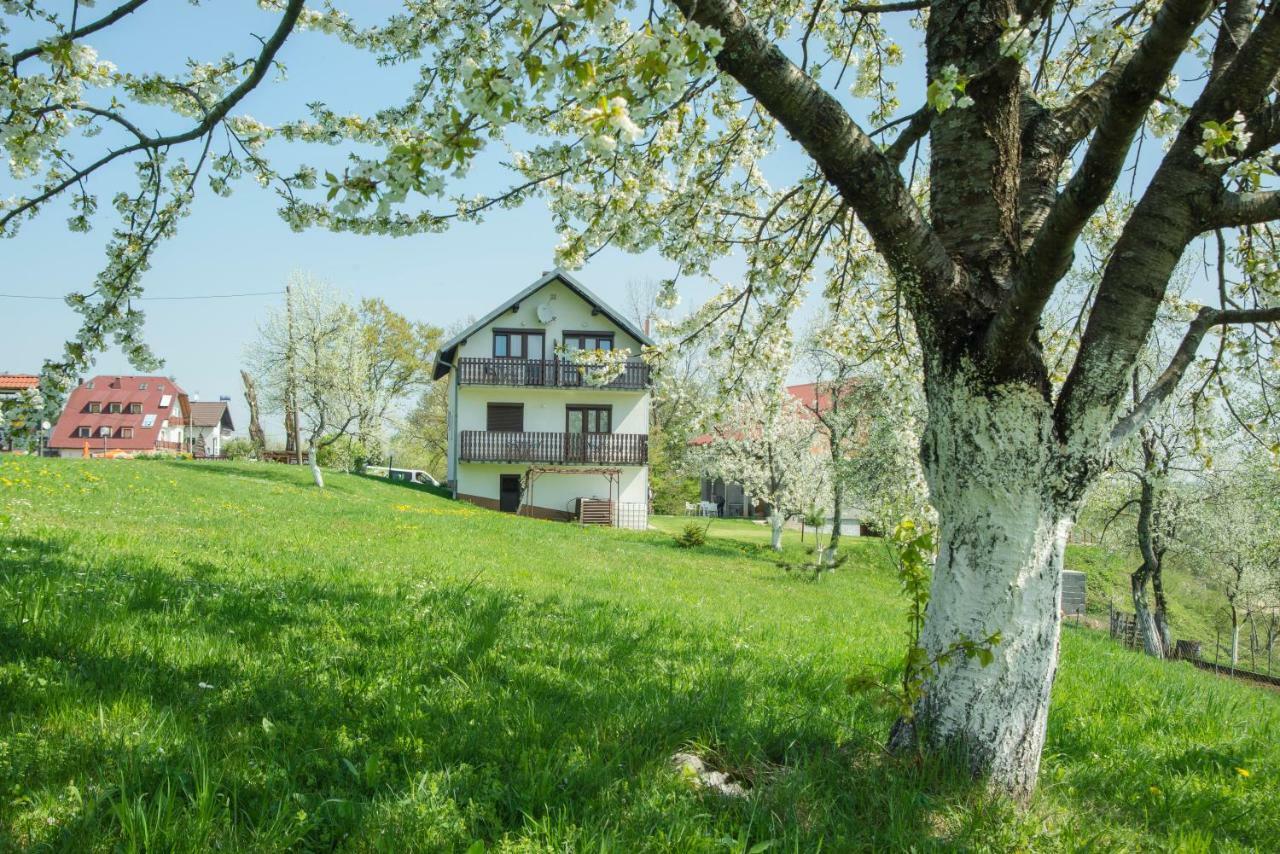 House Spehar Hotel Seliste Dreznicko Eksteriør billede